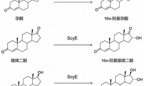 甾体类原料药有哪些-甾体类原料药