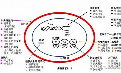 抗生素是生物药物吗-抗生素包括抗生素原料药和抗生素制剂吗