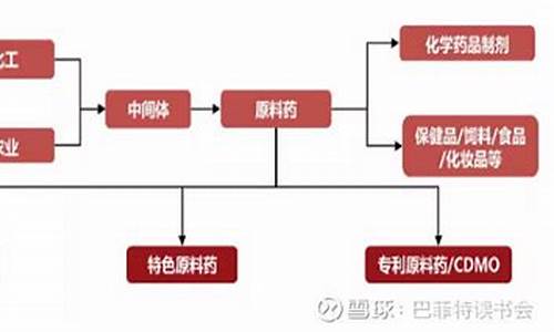 医药制剂与原料药-原料药制剂一体化战略