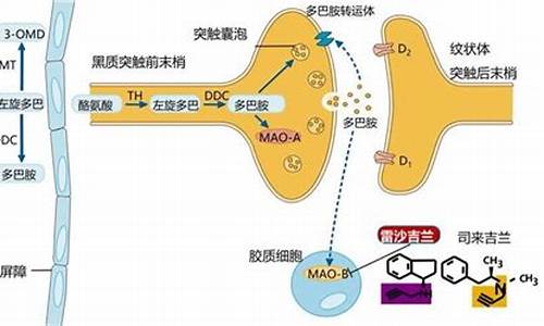 雷沙吉兰药理-雷沙吉兰作用机理